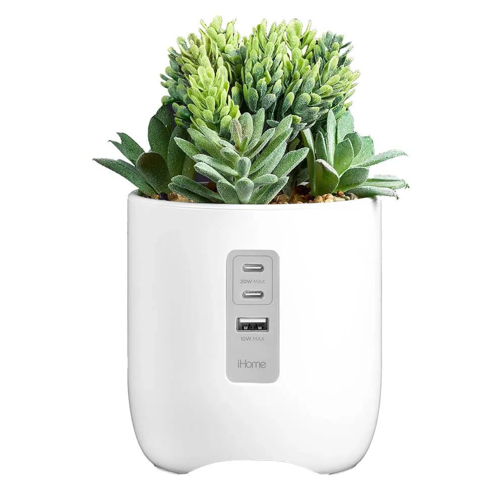 Faux Succulent USB Charging Station - 7 x 4.25 in