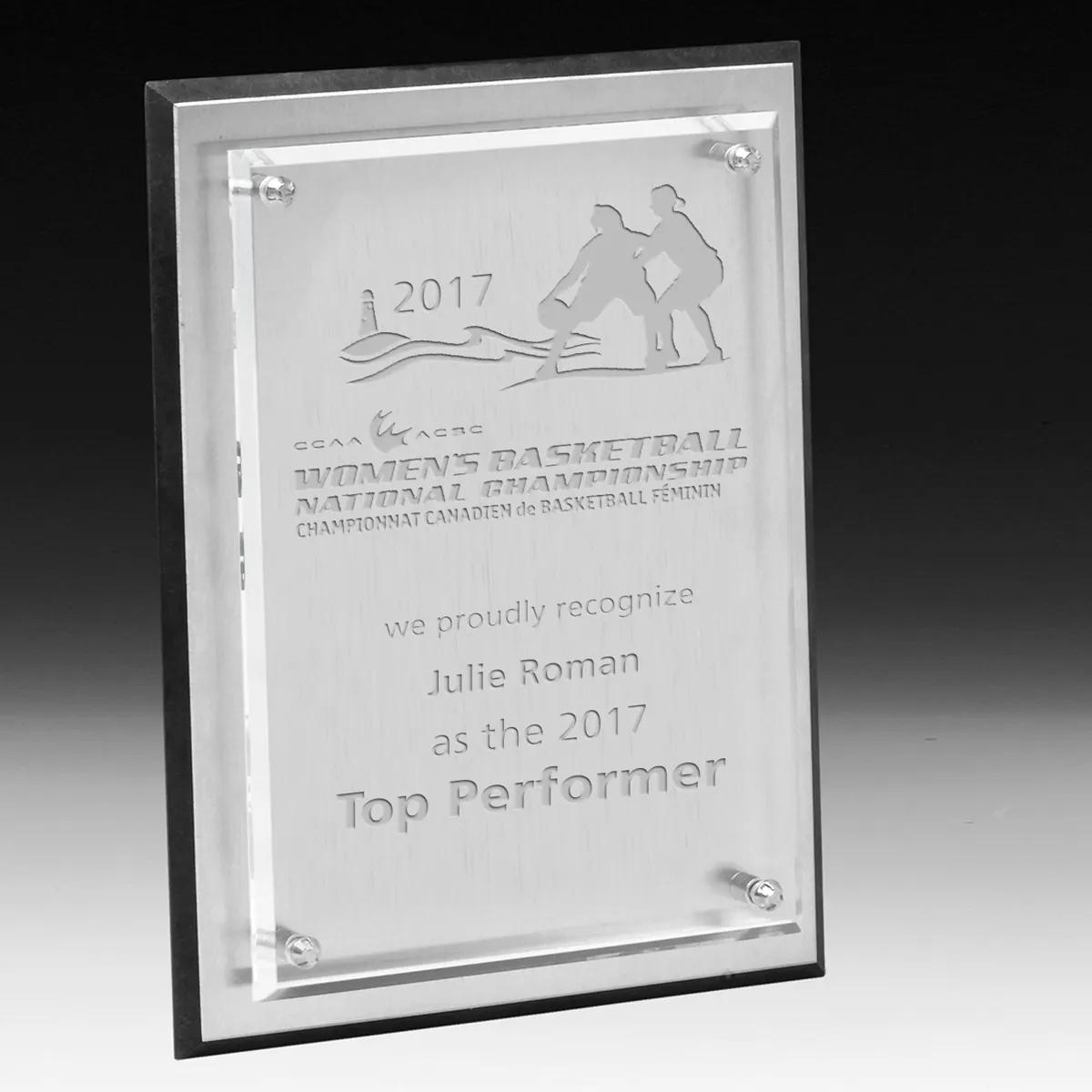 Brushed Aluminum Plaque Clear Panel Chrome Hardware - 9 x 12 in - product view 4