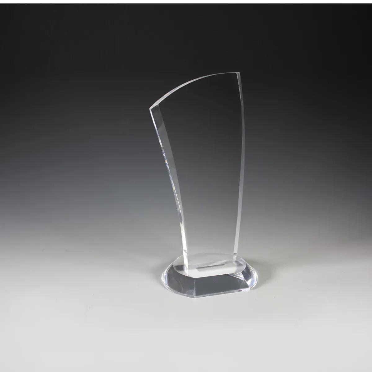 Progressive Award Clear Acrylic Large Imprint - 4.75 x 9.5 in - product view 4