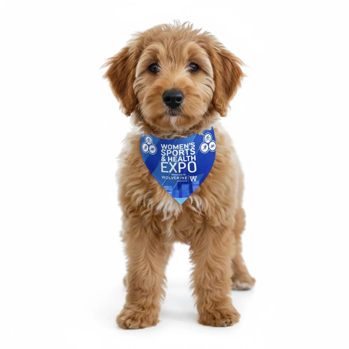 Pet Bandana Recycled Polyester Half-Cut Triangle - 22 x 30 in - product view 10