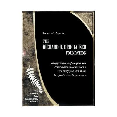 Lucite Halley Plaque Small - 6 x 8 in