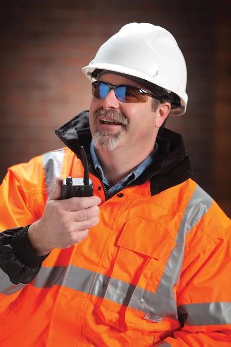 Bollé Contour ESP Glasses - product view 4