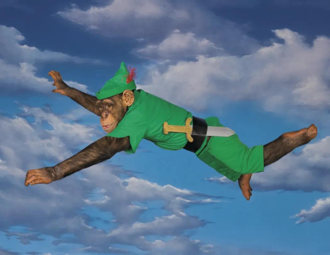 Monkey Mischief Wall Calendar Stapled FSC Paper - 19 x 11 in - product view 12