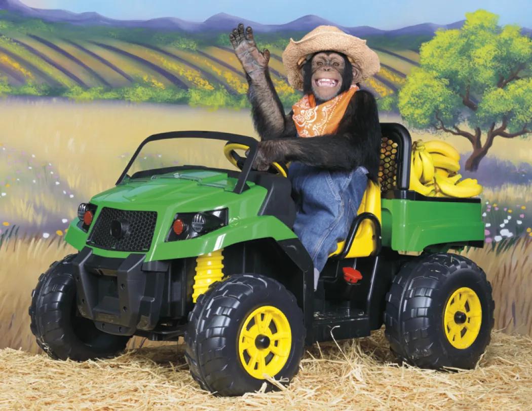 Monkey Mischief Wall Calendar Stapled FSC Paper - 19 x 11 in - product view 17