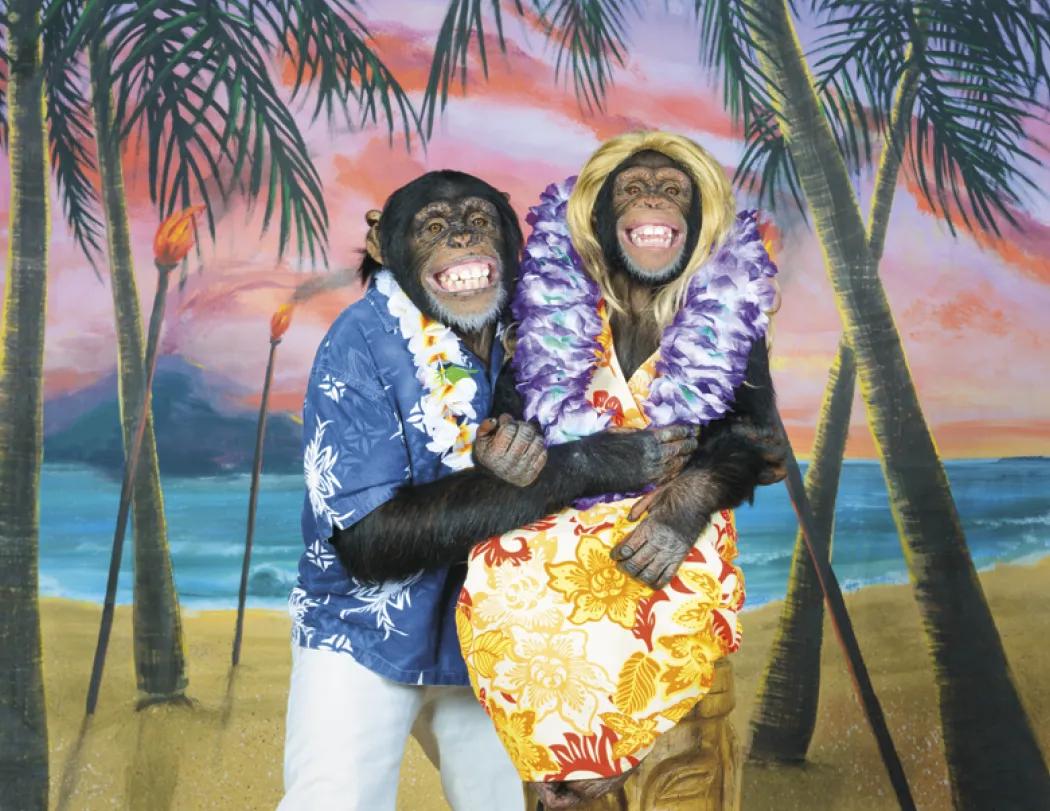 Monkey Mischief Wall Calendar Stapled FSC Paper - 19 x 11 in - product view 18