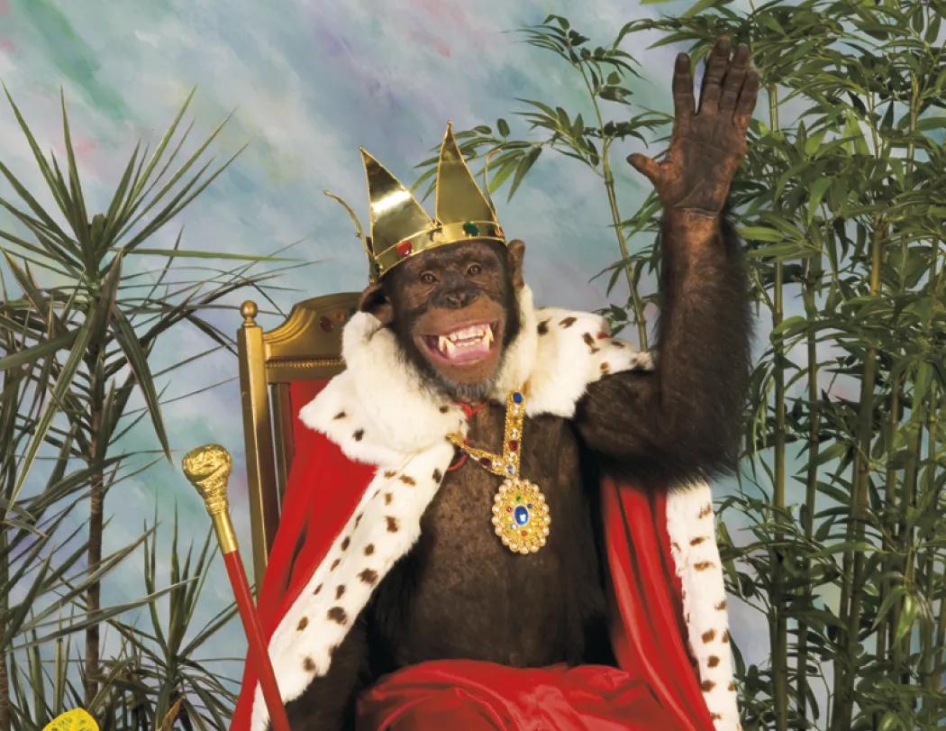 Monkey Mischief Wall Calendar Stapled FSC Paper - 19 x 11 in - product view 19