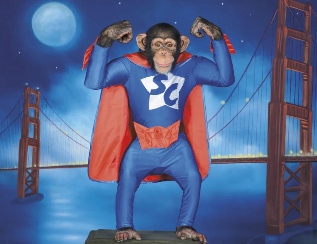 Monkey Mischief Wall Calendar Stapled FSC Paper - 19 x 11 in - product view 20