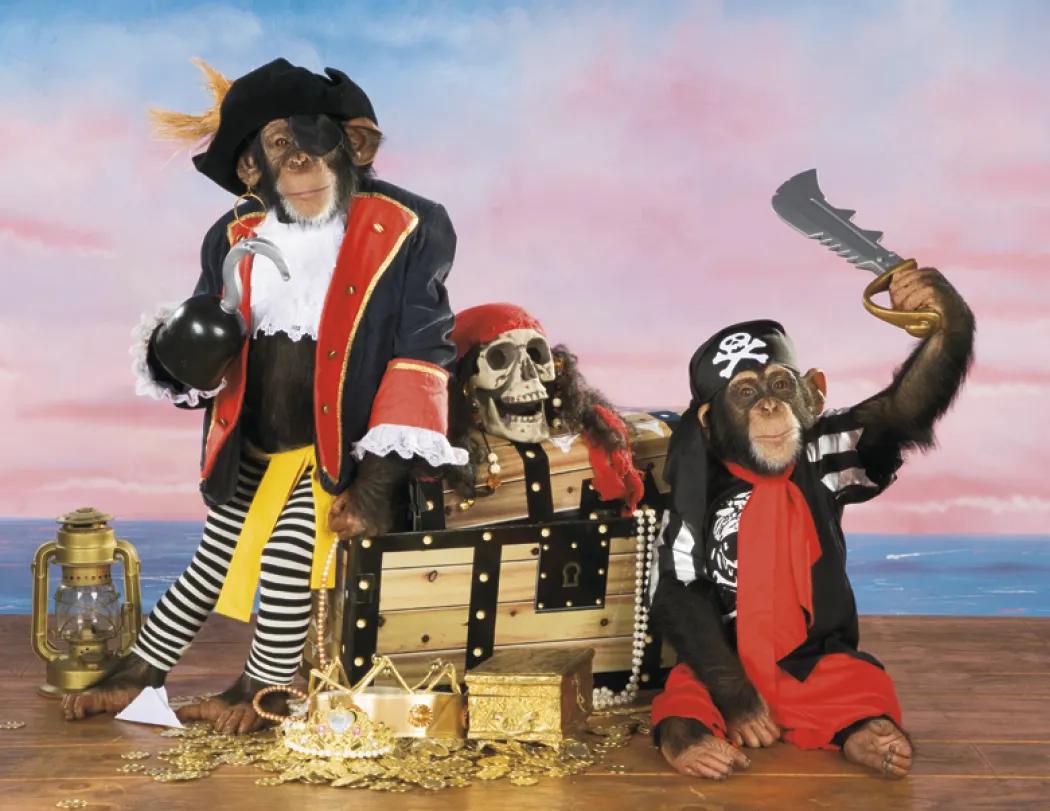 Monkey Mischief Wall Calendar Stapled FSC Paper - 19 x 11 in - product view 21