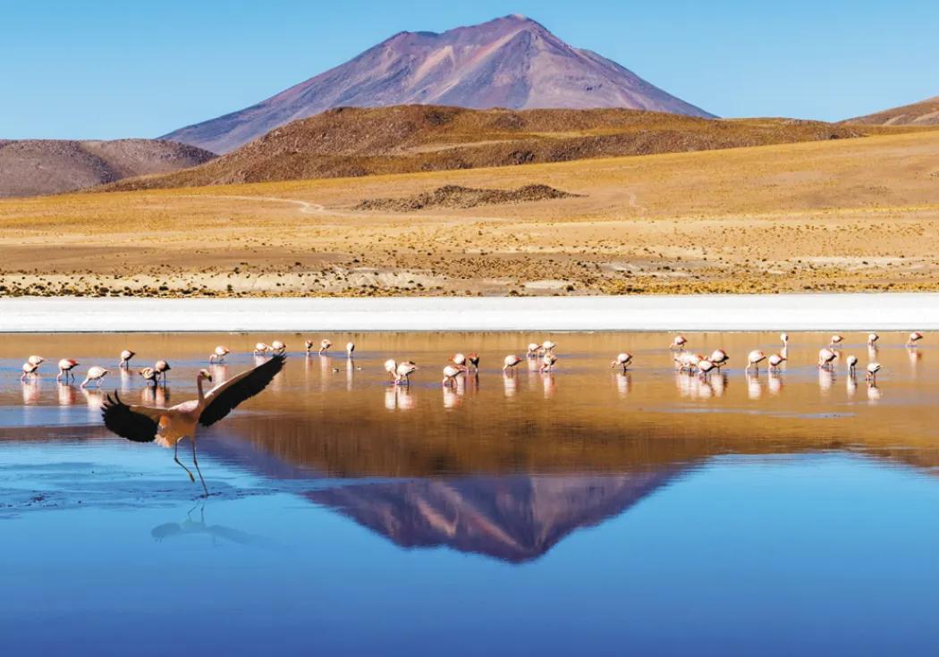 World Scenic Executive Calendar Travel Photos - 23 x 13.84 in - product view 14