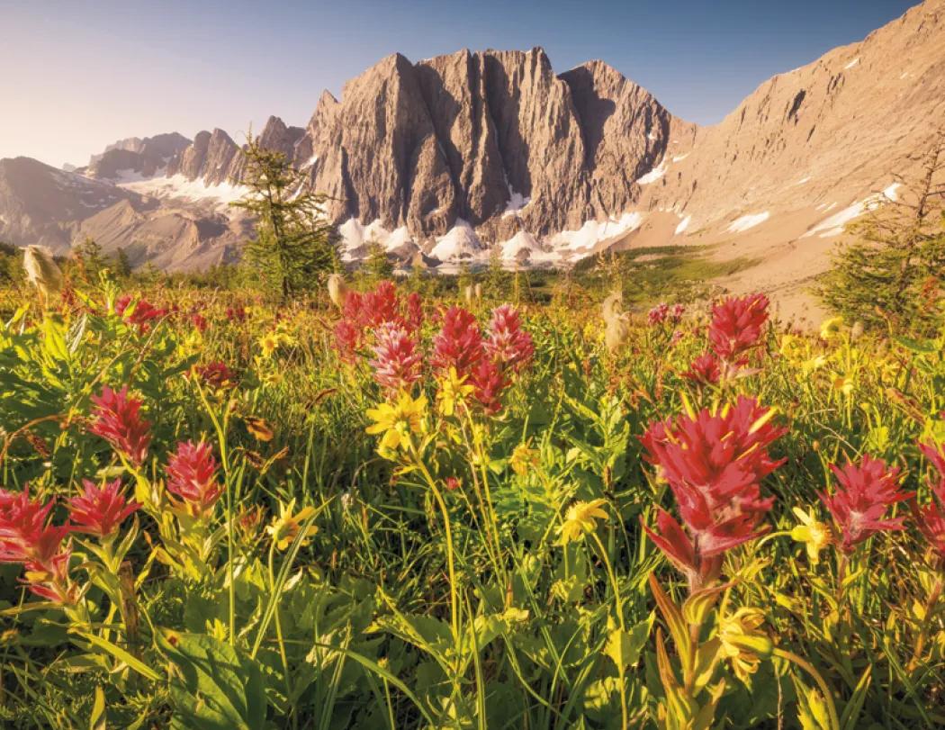 Canadian National Parks Wall Calendar Stapled FSC Paper - 19 x 11 in - product view 13