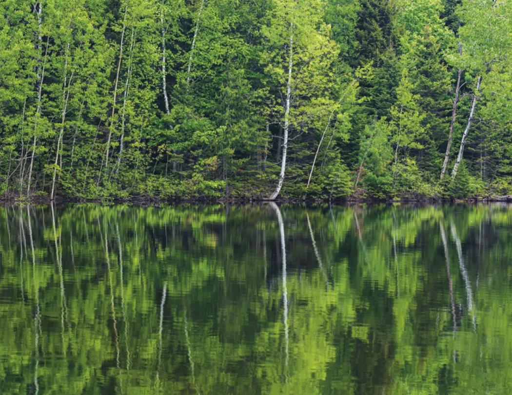 Canadian National Parks Wall Calendar Stapled FSC Paper - 19 x 11 in - product view 14