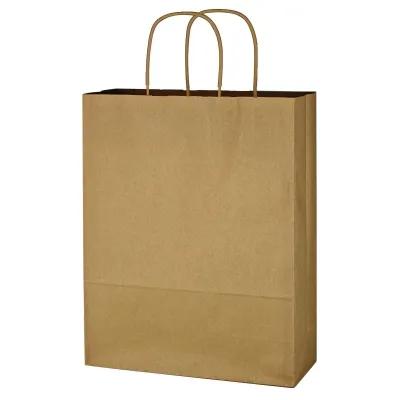 Kraft Paper Shopping Bag Twisted Handles - 10 x 13 in - product view 2
