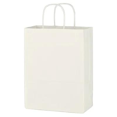 Paper Shopping Bag with Twisted Handles - 10 x 13 in - product view 2