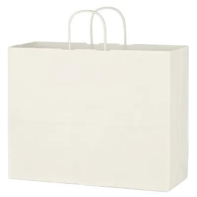 Paper Shopping Bag with Twisted Handles - 16 x 12.5 in - product view 2