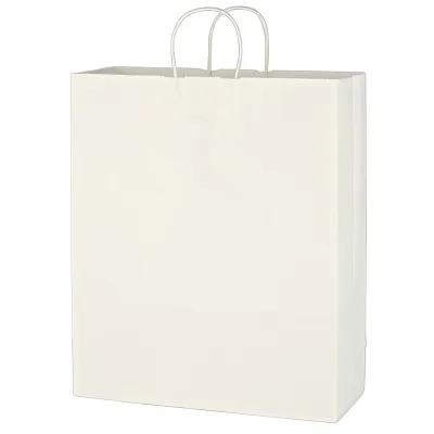 Paper Shopping Bag with Twisted Handles - 16 x 19 in - product view 2