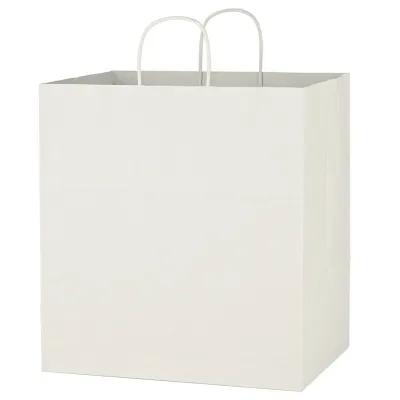 Paper Shopping Bag with Twisted Handles - 14 x 15 in - product view 2