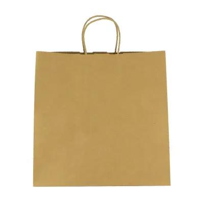 Paper Shopping Bag with Twisted Handles - 10.75 x 10.25 in - product view 2
