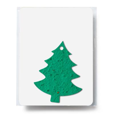 Plantable Gift Pack Tree Shaped Wildflower Seeds - 3 x 4 in - product view 2