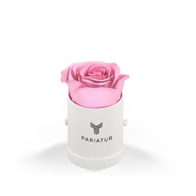 Rose Arrangement Le Mini Round Eternity Rose Hat Box - 2 x 2 in - product view 4