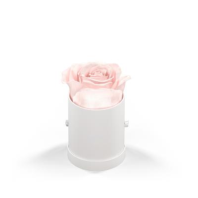Rose Arrangement Le Mini Round Eternity Rose Hat Box - 2 x 2 in - product view 12