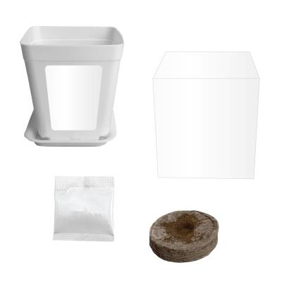 Planter Kit with Custom Box and Seeds - 3 in - product view 1