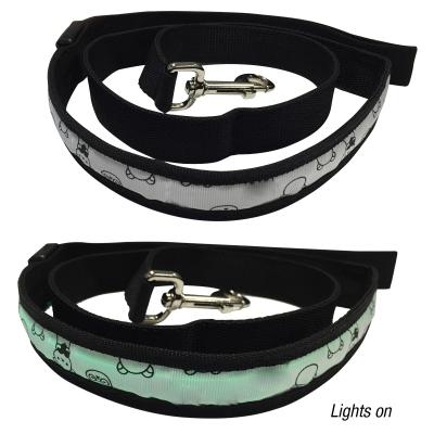 Dog Leash Light Up LED 3 Settings Batteries - 47 x 0.5 in