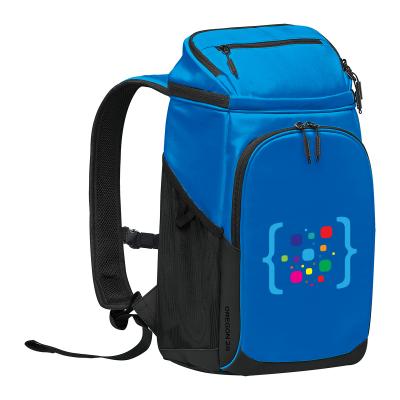Insulated Backpack Cooler with Padded Straps - 10 x 19 x 7.5 in
