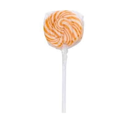 Lollipop Swirl with Round Label - 3.5 in - product view 5