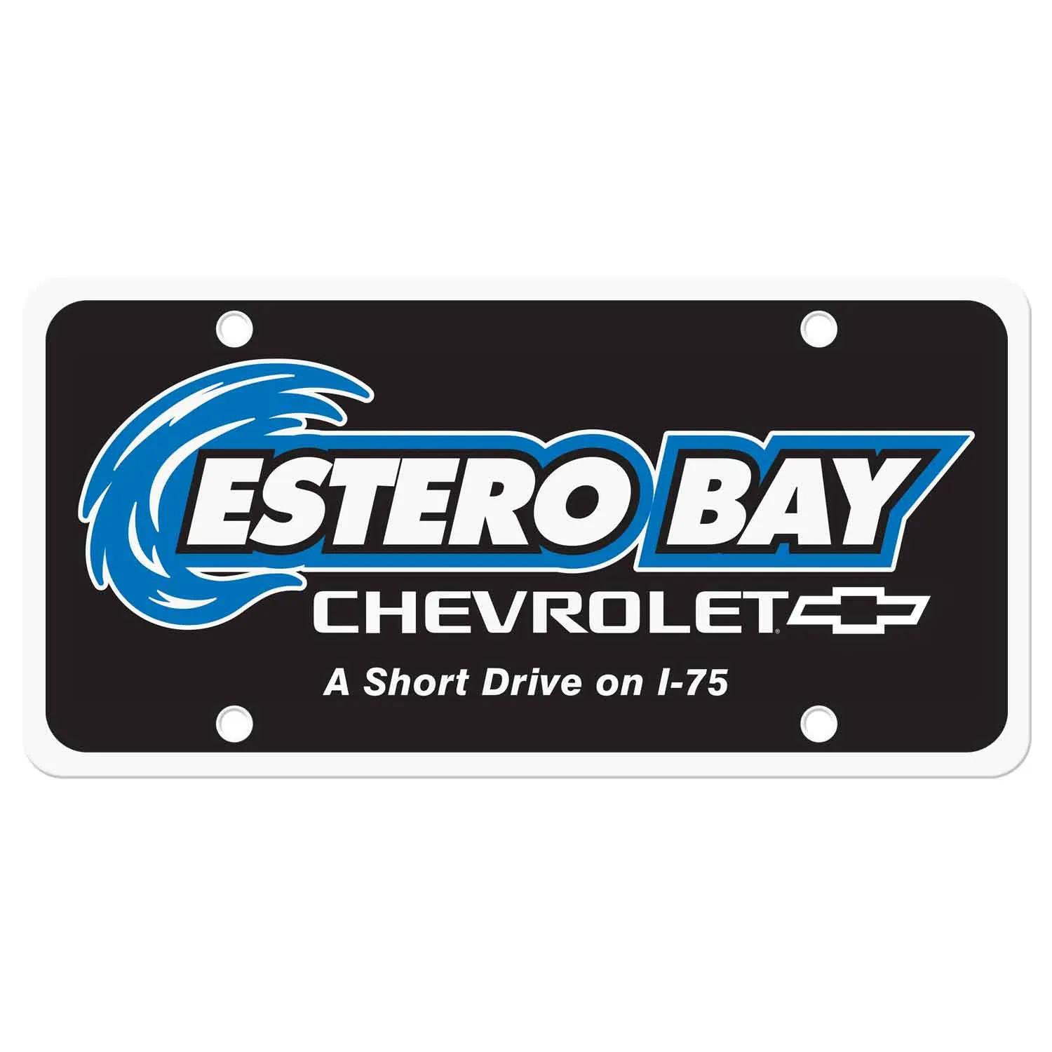 License Plate Insert Styrene Automotive - 12 x 6 in
