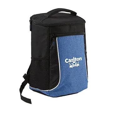 Insulated Cooler Backpack Canvas Padded Straps - 11 x 14 in
