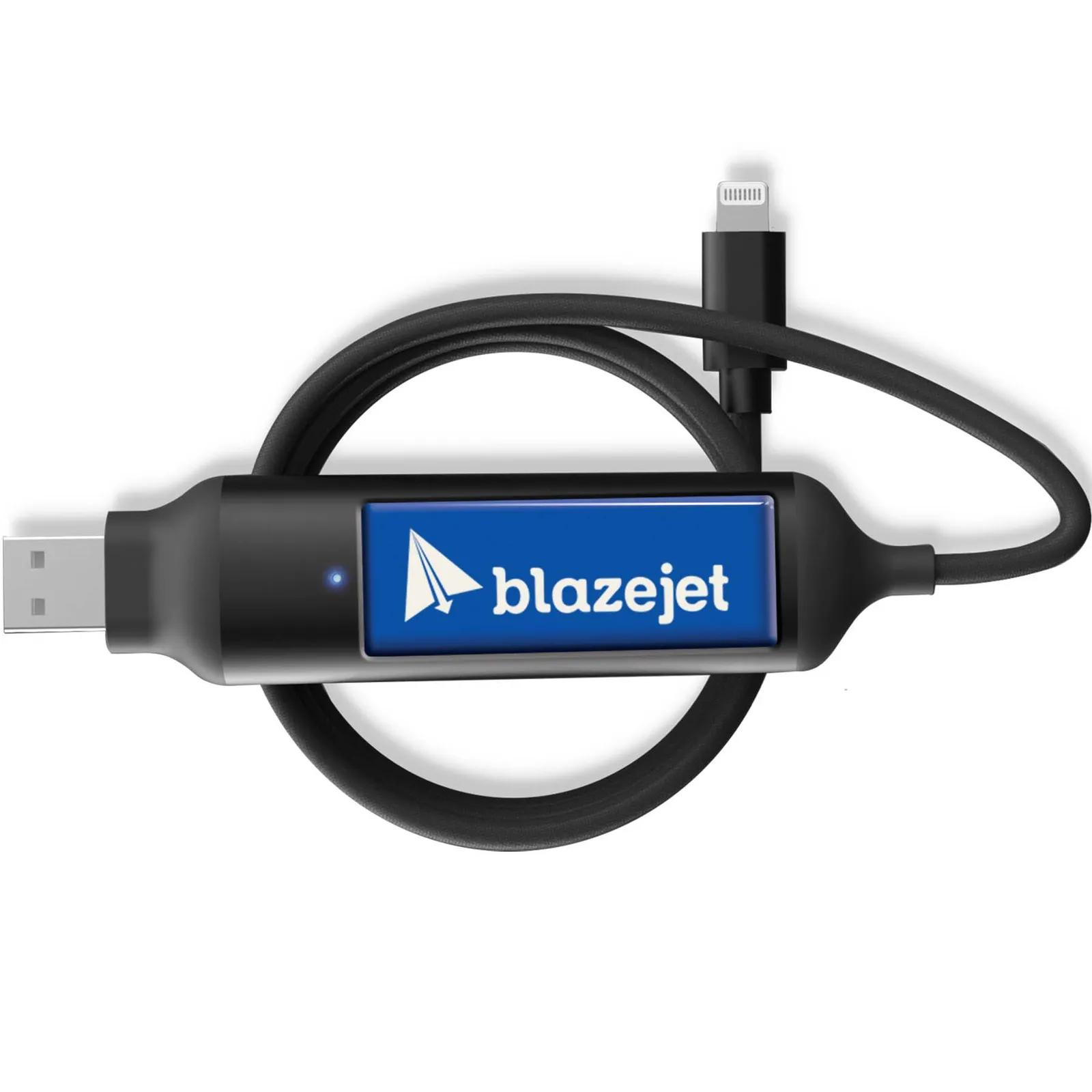 Power Bank Cable with 1000 mAh Battery - 12 in