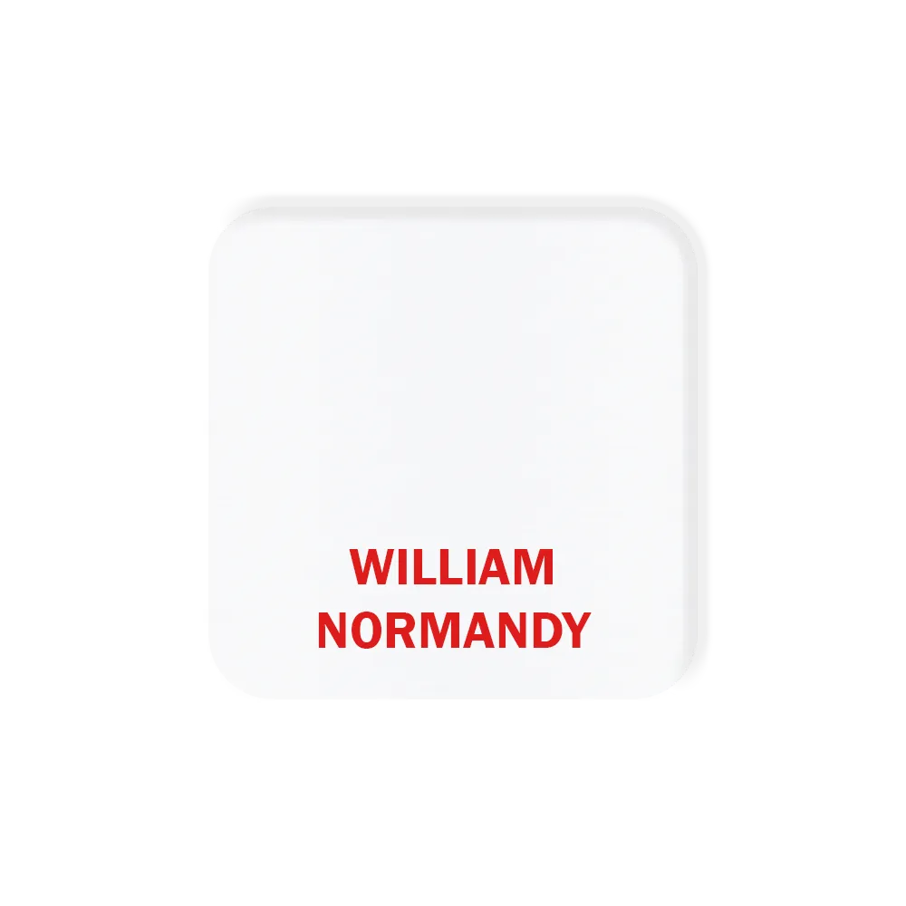 Name Badge Aluminum Full Color Custom Personalized - 3-6 sq in - blank view 2