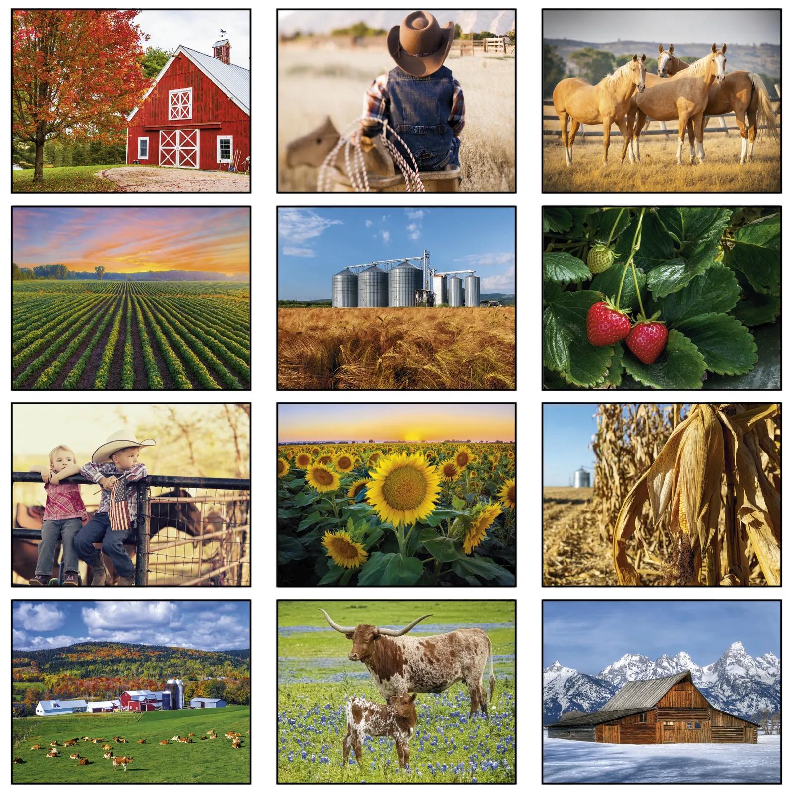American Agriculture Wall Stapled - 10 3/4 x 19 in - product view 5