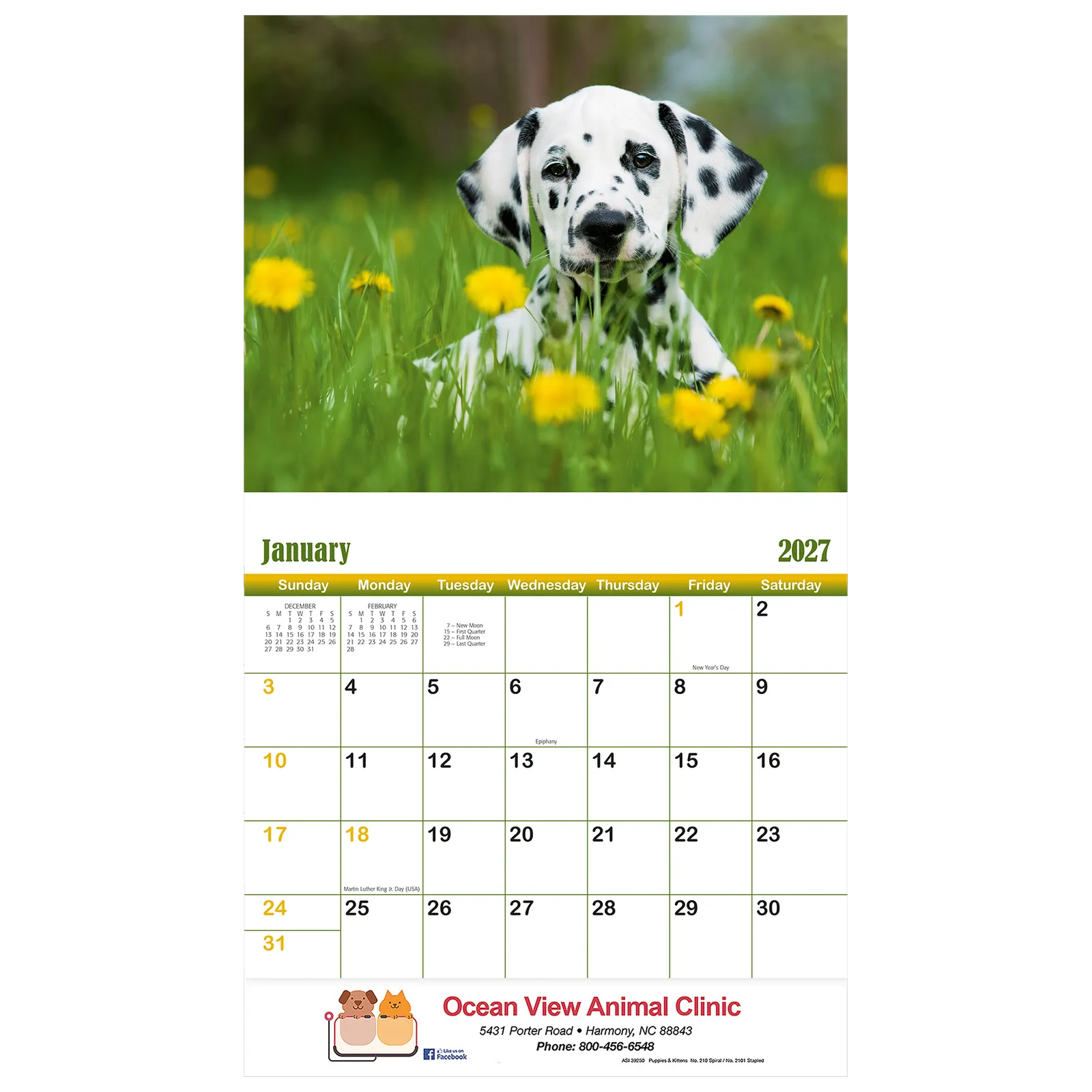 Puppies & Kittens Wall Stapled - 10 3/4 x 19 in - product view 2