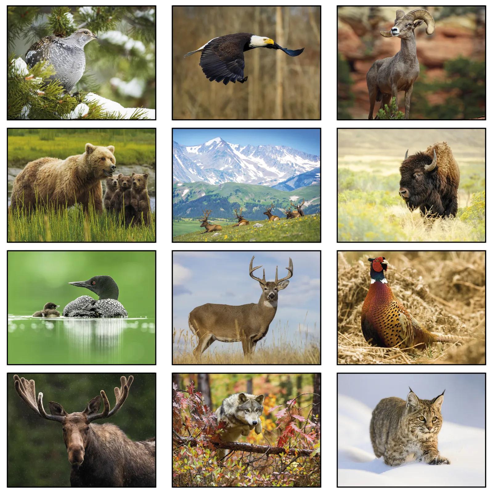 Wildlife Wall Calendar Stapled - 10.75 x 19 in - product view 3