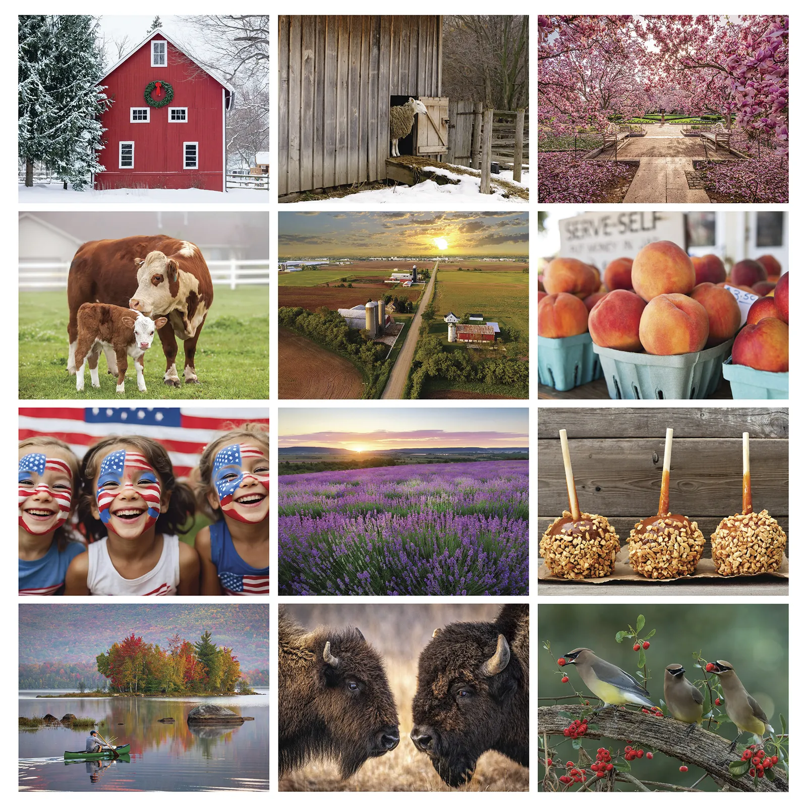 Old Farmer's Almanac Country Wall Calendar Stapled - 10.75 x 19 in - product view 3