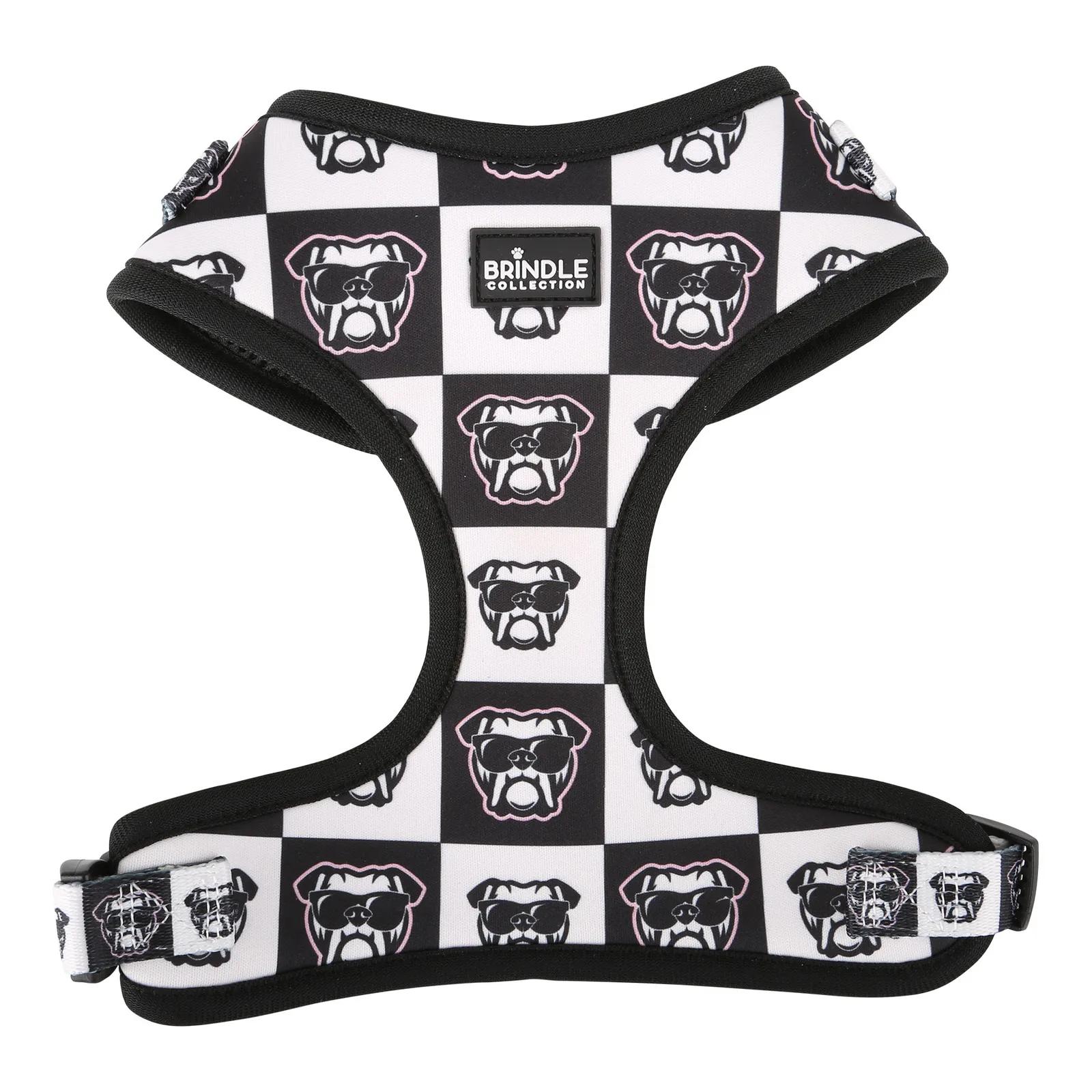 Dog Harness Neoprene with D-Ring Attachment (Large) - product view 2
