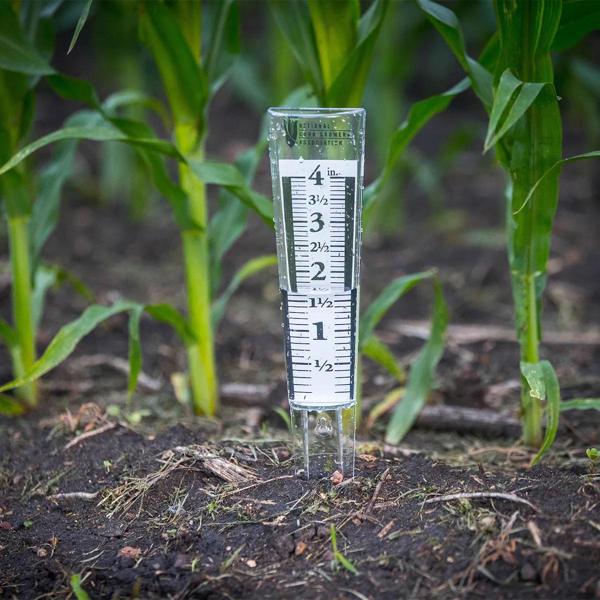 Rain Gauge Magnifying Polystyrene Stake - 4 in - product view 3