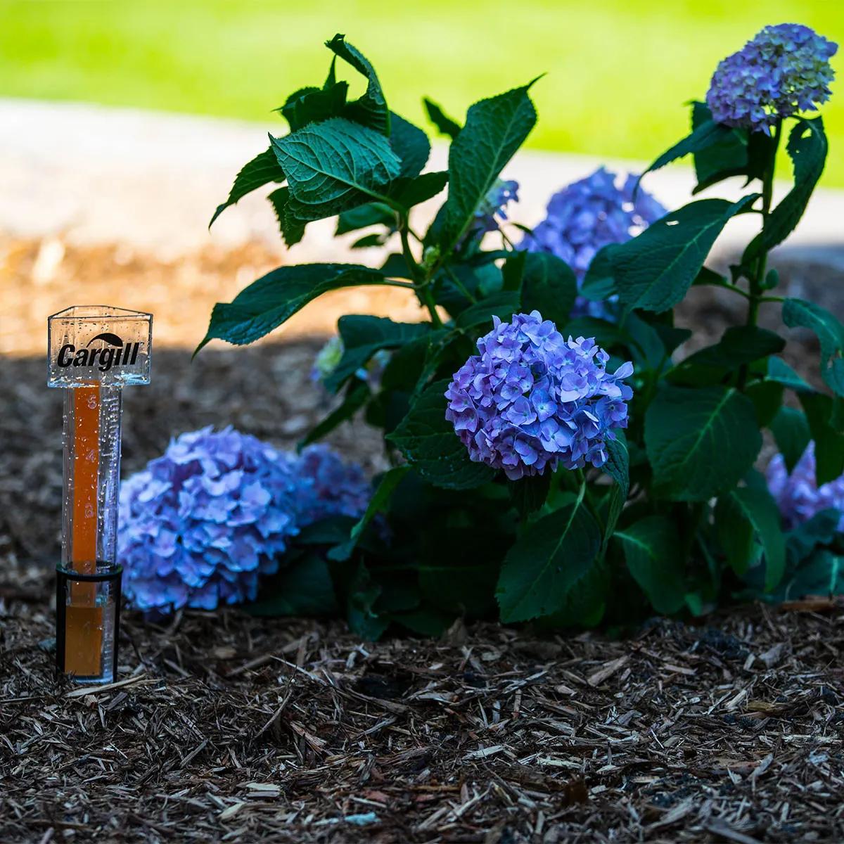 Rain Gauge Hammer Head Acrylic Stake Mount - 5 in - product view 6