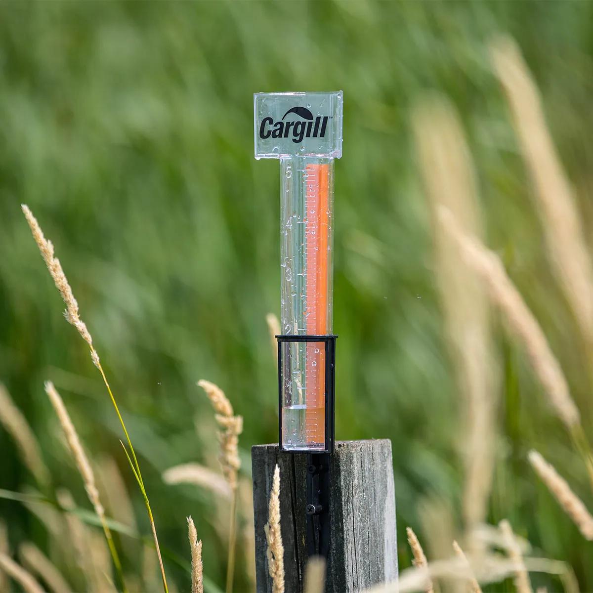 Rain Gauge Hammer Head Acrylic Stake Mount - 5 in - product view 7