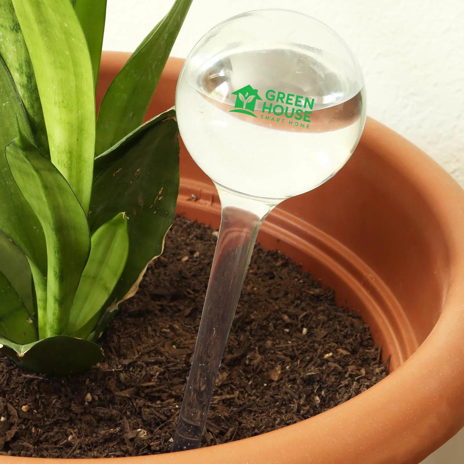 Self-Watering Globe PVC Automatic Plant - 11 in - product view 2
