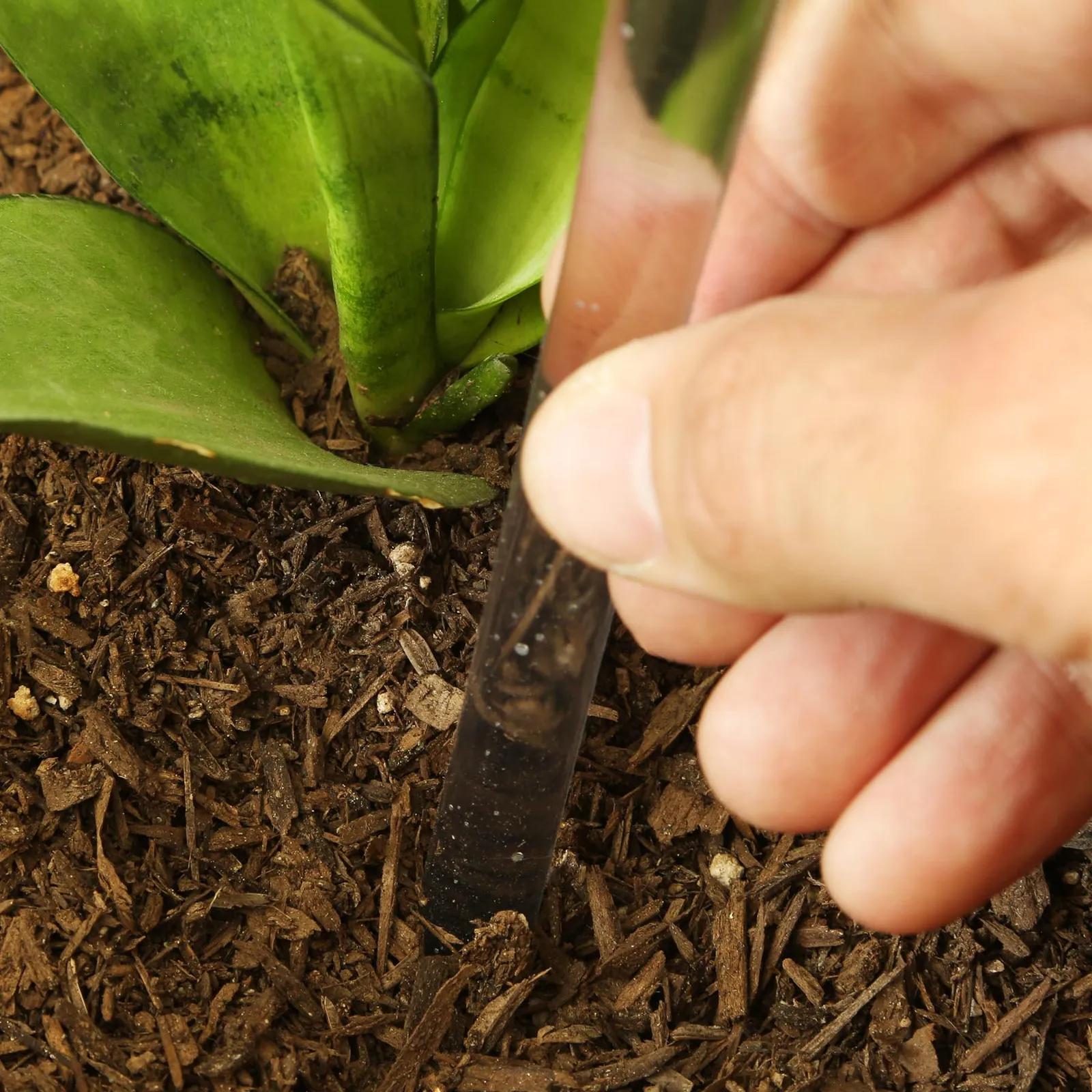 Self-Watering Globe PVC Automatic Plant - 11 in - product view 3