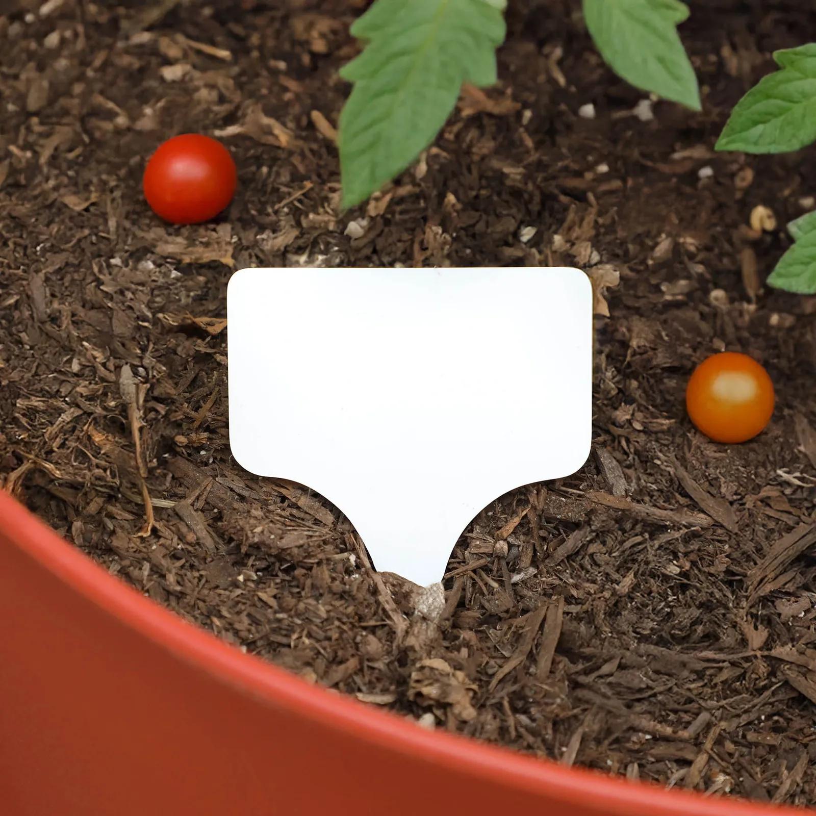 Garden Stake PVC Fill-in-Blank Single - 3.5 in - blank view 10