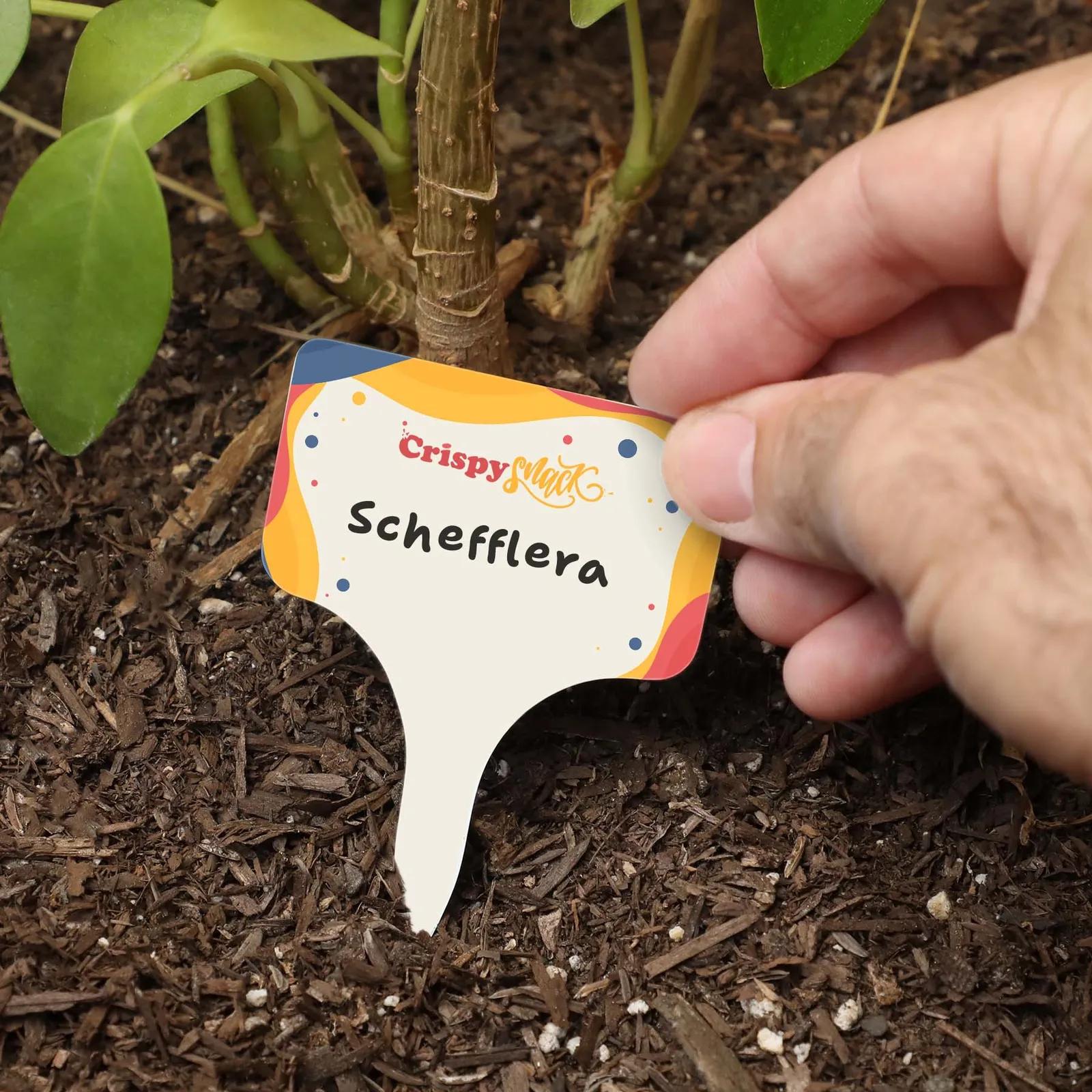 Garden Stake Set PVC Fill-in-Blank - 6 Piece - product view 4