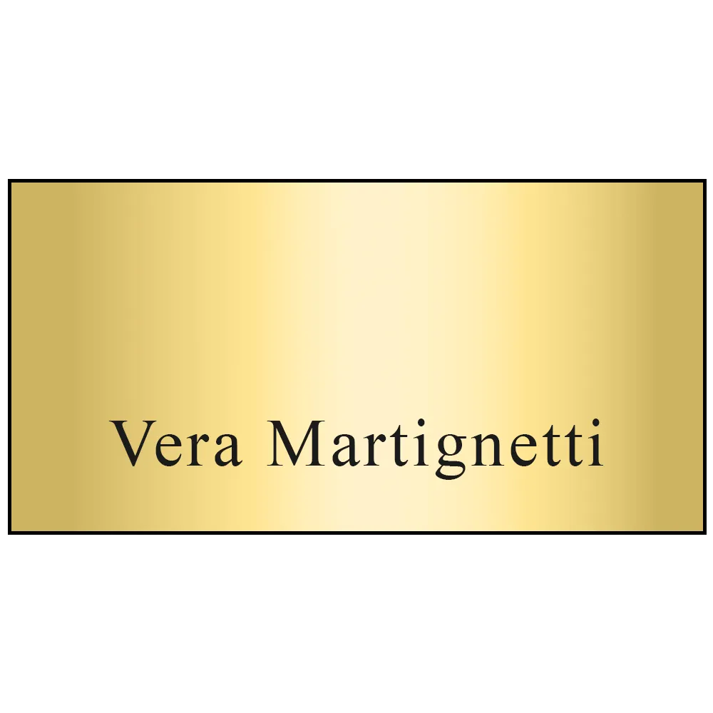 Name Badge Metallic Plastic Standard Service - 1.5 x 3 in - blank view 3