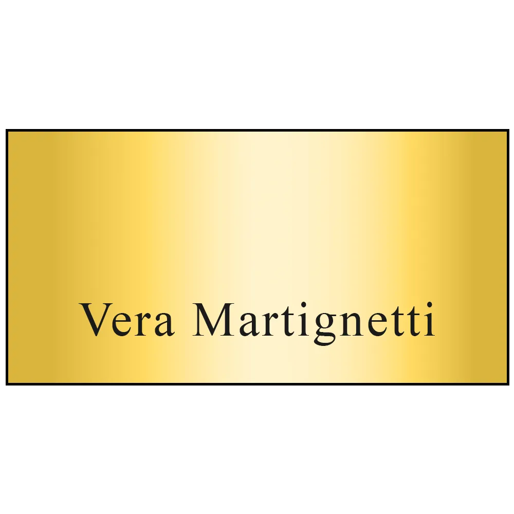 Name Badge Metallic Plastic Standard Service - 1.5 x 3 in - blank view 4