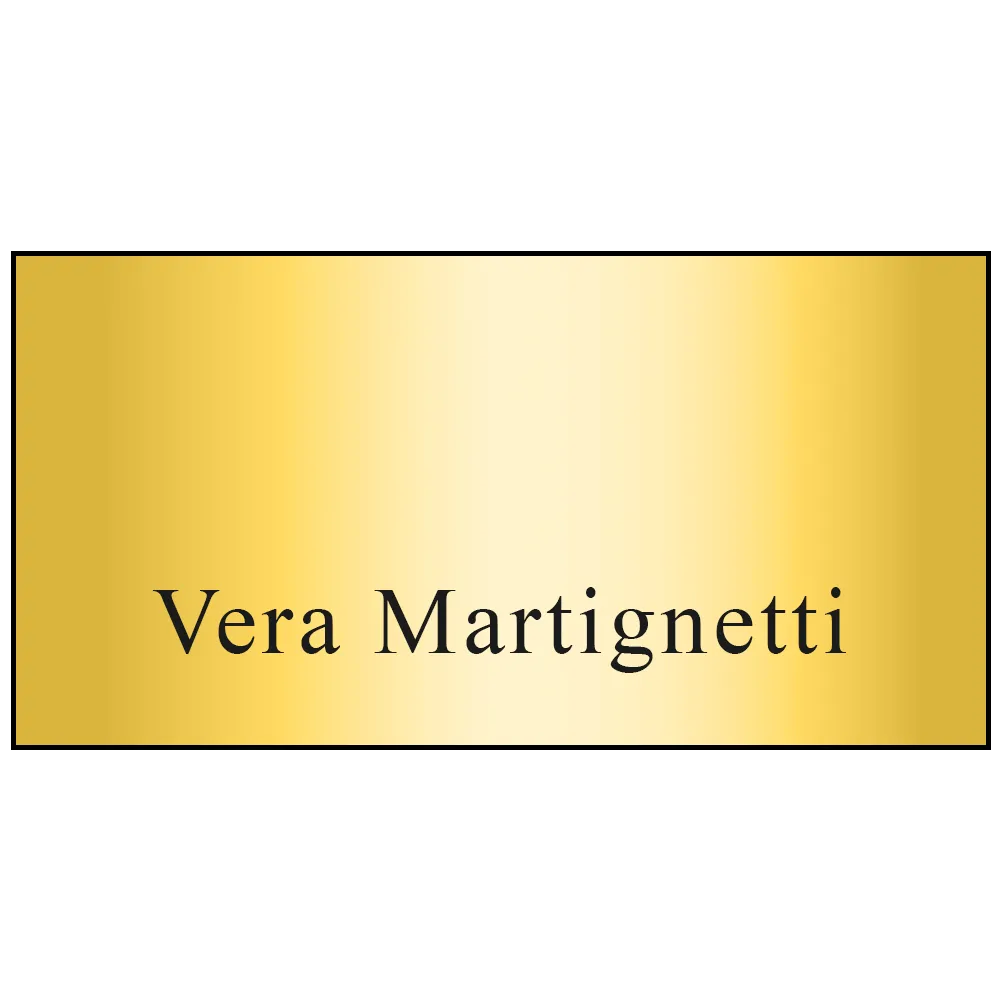 Name Badge Metallic Plastic Standard Service - 1.5 x 3 in - blank view 13