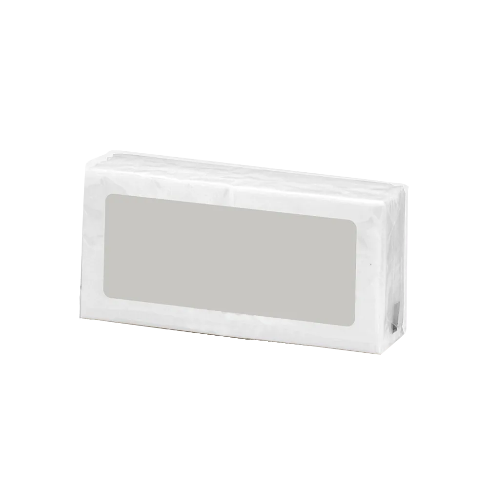 Mini Facial Tissues Two-Ply Pack - 2 x 4 x 1 in (10 Pack) - blank view 2