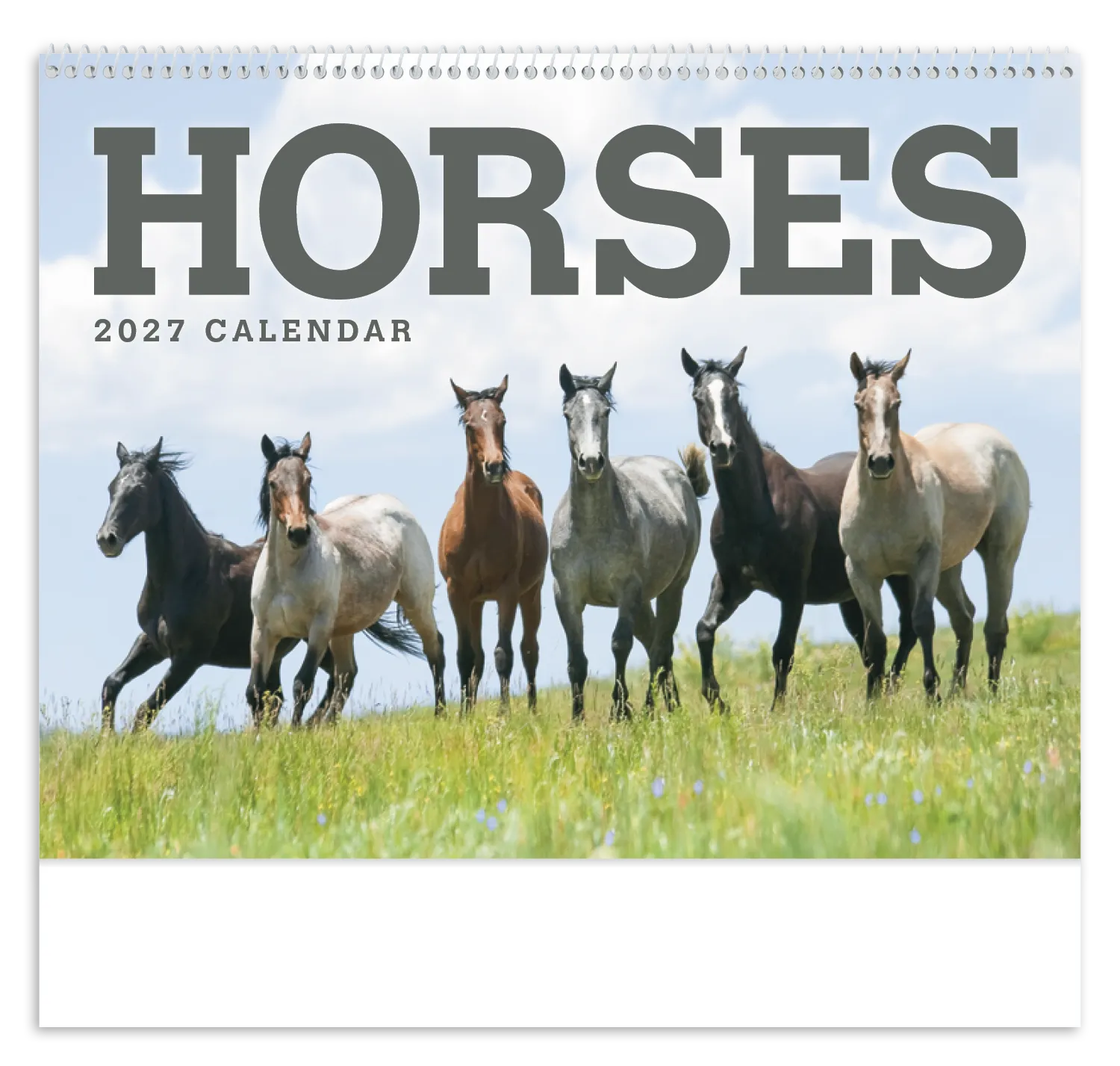 Horses Wall Calendar FSC Certified Gloss Paper - 18.5 x 11 in - product view 18