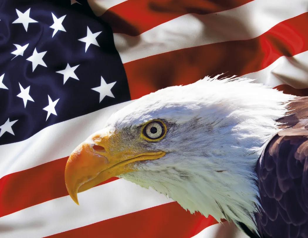 Patriotic America Wall Calendar Presidential Quotes - 18.5 x 11 in - product view 17